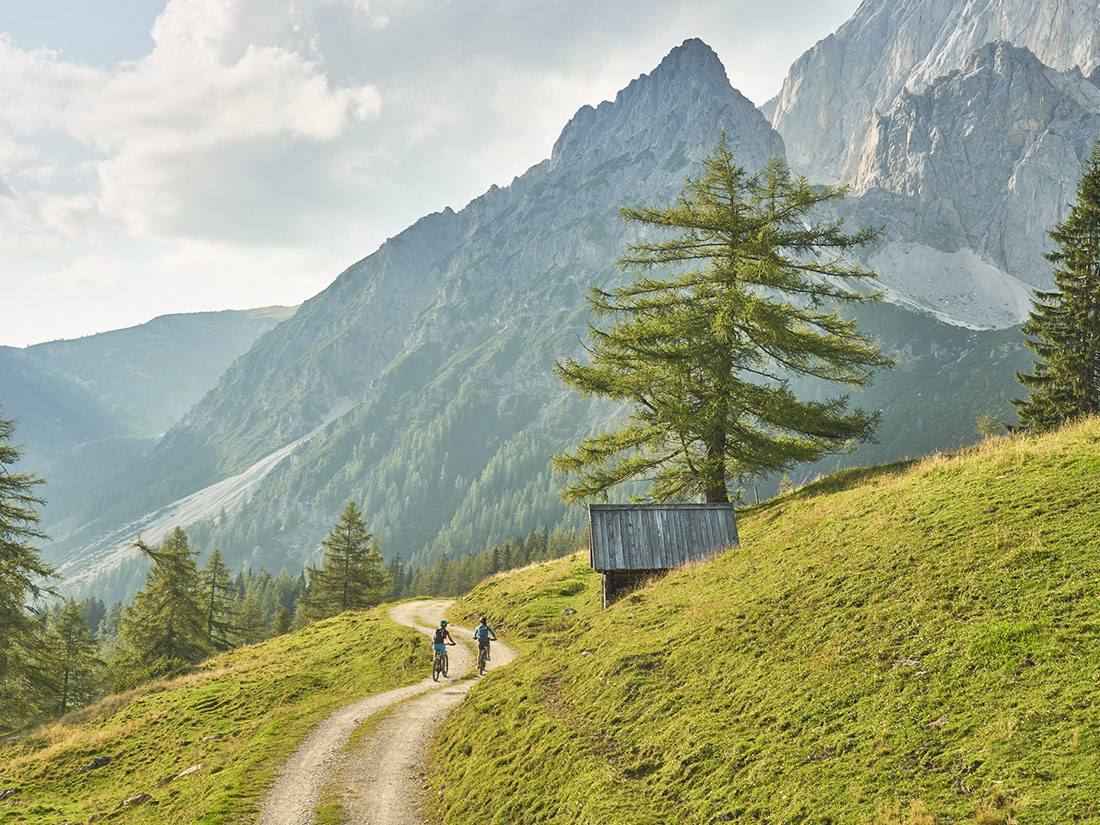 Mountain Biken in der Natur von Schladming